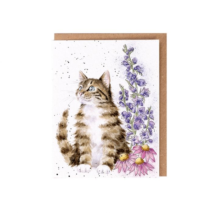 Wrendale Designs 'Whiskers and Wildflowers' Cat Seed Card