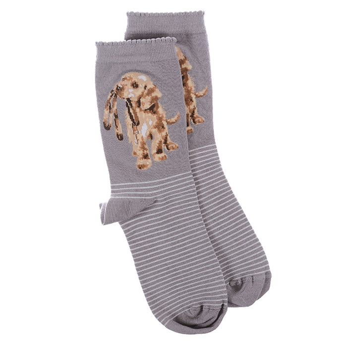 Wrendale Designs Hopeful Dog Socks