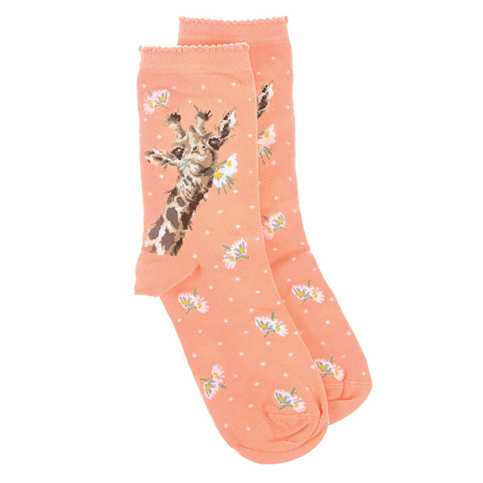 Wrendale Designs Giraffe Flowers Socks