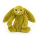 Jellycat Bashful Zingy Bunny